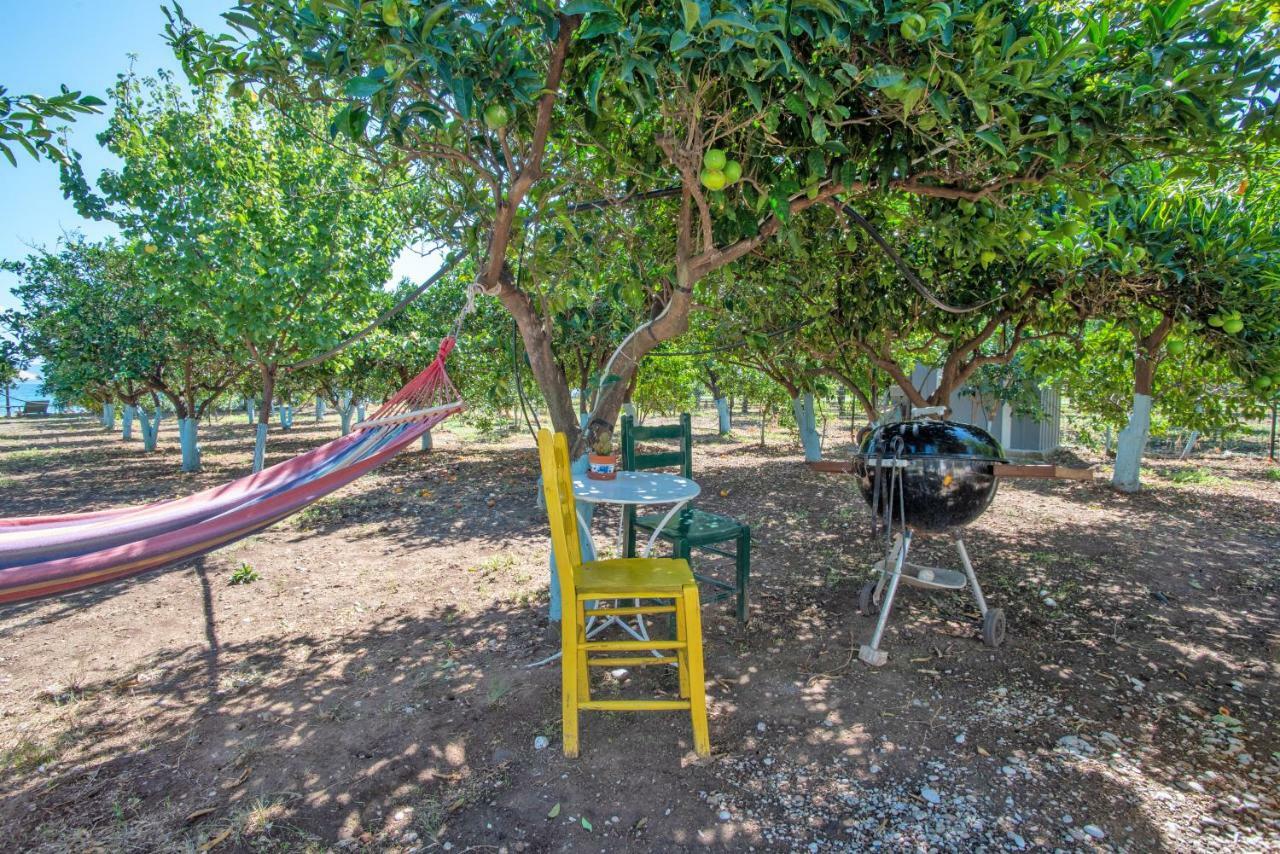 Villa Maria Epidaurus Екстериор снимка